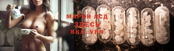дживик Аркадак