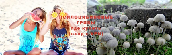 дживик Аркадак