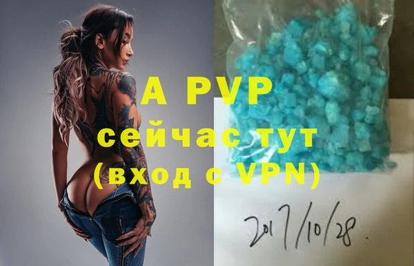 дживик Аркадак