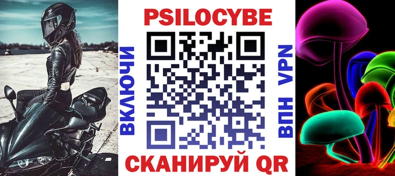 Галлюциногенные грибы Psilocybe  Стародуб 